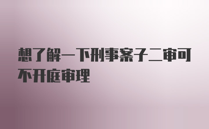 想了解一下刑事案子二审可不开庭审理