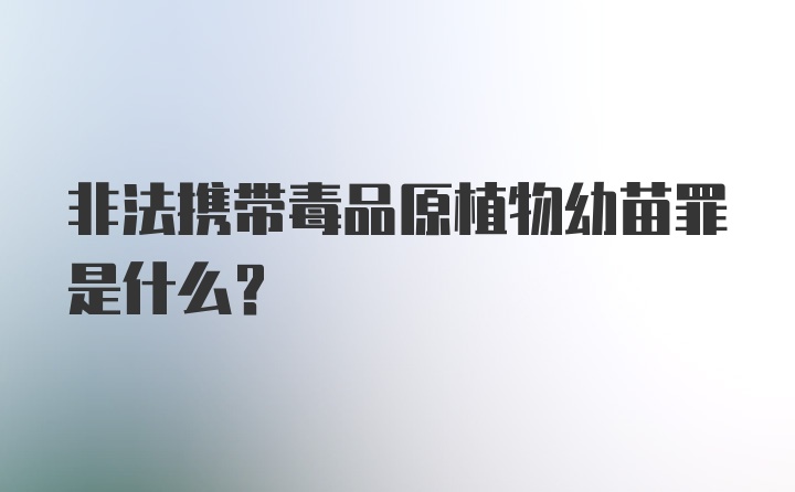 非法携带毒品原植物幼苗罪是什么？