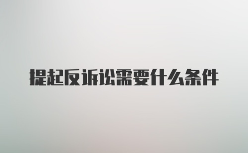 提起反诉讼需要什么条件