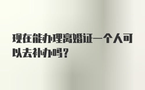 现在能办理离婚证一个人可以去补办吗？