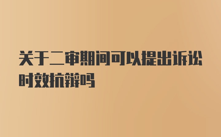 关于二审期间可以提出诉讼时效抗辩吗