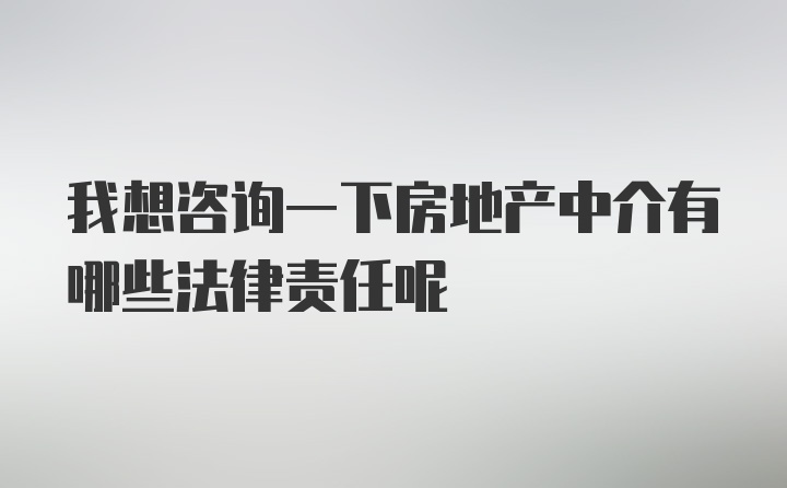 我想咨询一下房地产中介有哪些法律责任呢