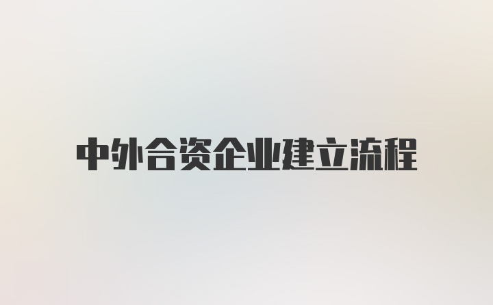 中外合资企业建立流程