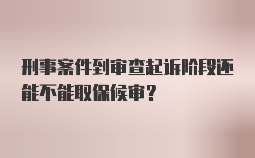 刑事案件到审查起诉阶段还能不能取保候审？