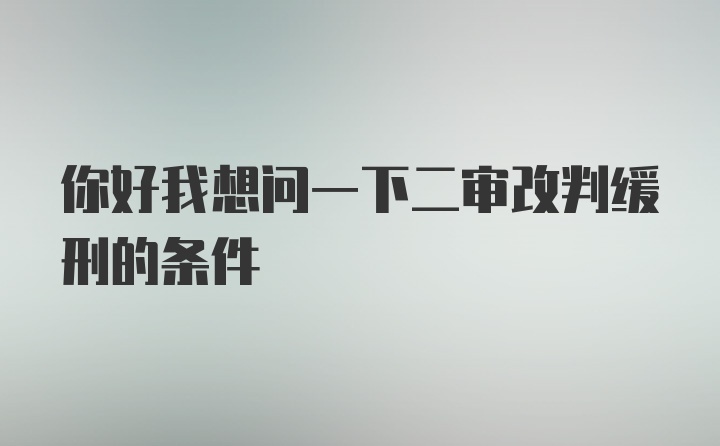 你好我想问一下二审改判缓刑的条件