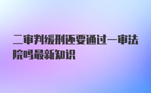 二审判缓刑还要通过一审法院吗最新知识