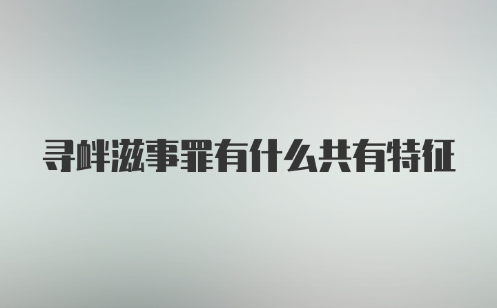 寻衅滋事罪有什么共有特征