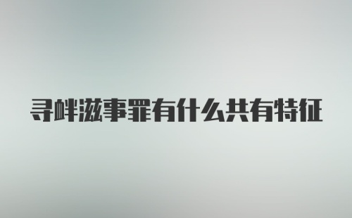 寻衅滋事罪有什么共有特征