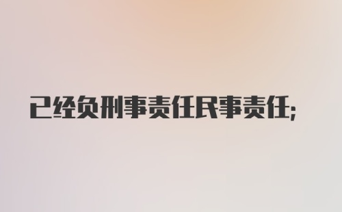 已经负刑事责任民事责任；