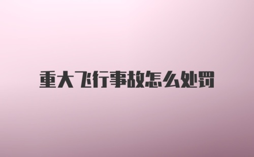 重大飞行事故怎么处罚