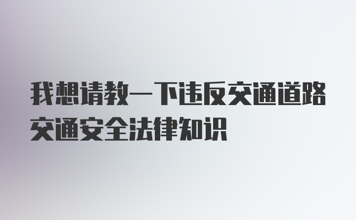 我想请教一下违反交通道路交通安全法律知识