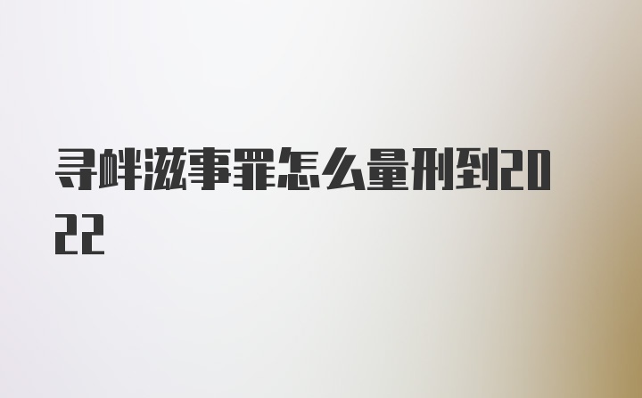 寻衅滋事罪怎么量刑到2022