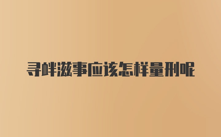 寻衅滋事应该怎样量刑呢