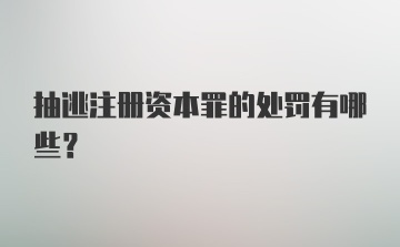 抽逃注册资本罪的处罚有哪些？