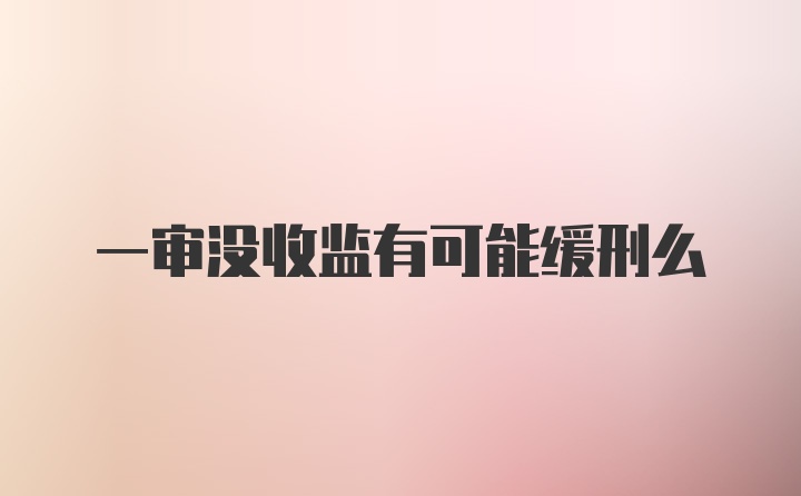 一审没收监有可能缓刑么