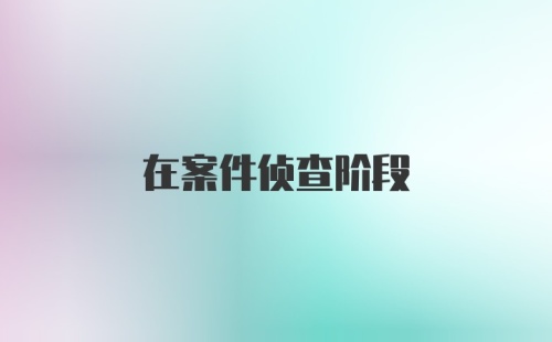 在案件侦查阶段