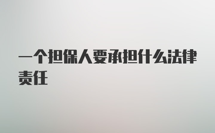 一个担保人要承担什么法律责任