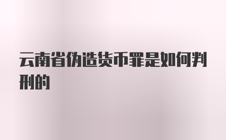 云南省伪造货币罪是如何判刑的