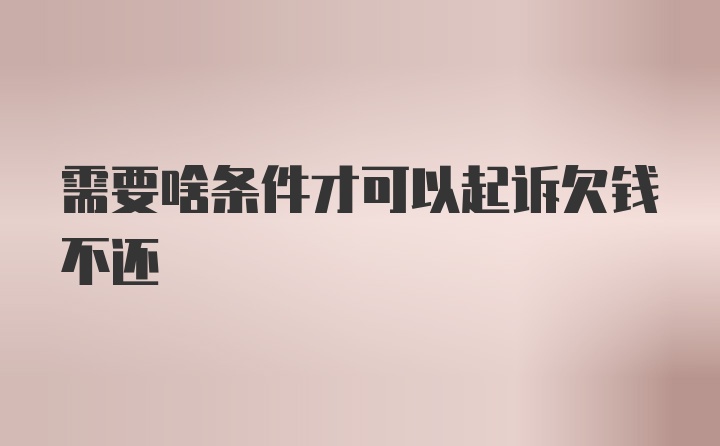 需要啥条件才可以起诉欠钱不还