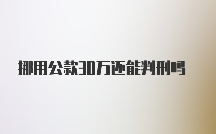 挪用公款30万还能判刑吗