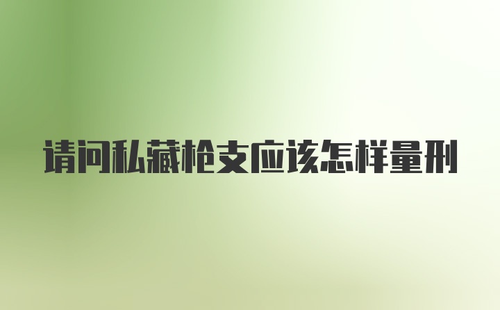 请问私藏枪支应该怎样量刑