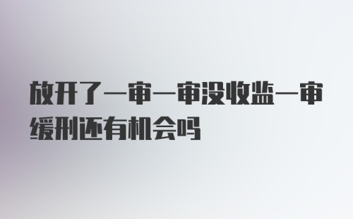 放开了一审一审没收监一审缓刑还有机会吗