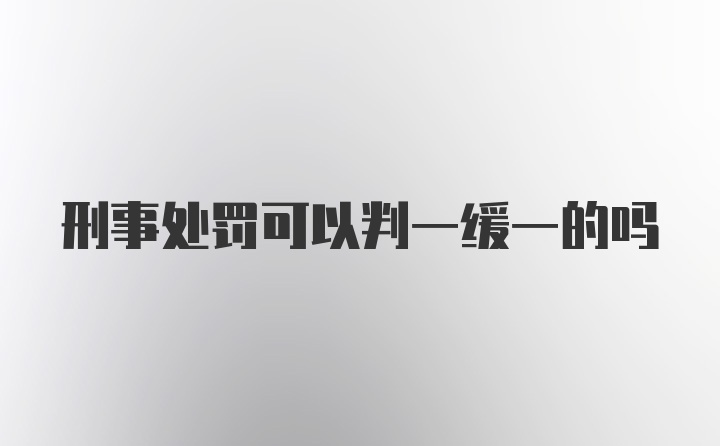 刑事处罚可以判一缓一的吗