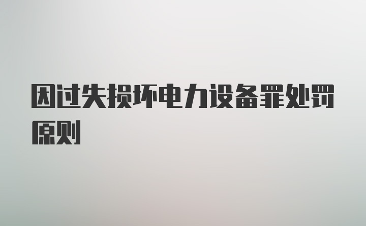 因过失损坏电力设备罪处罚原则