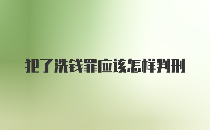 犯了洗钱罪应该怎样判刑