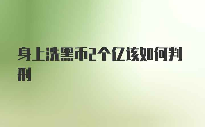 身上洗黑币2个亿该如何判刑