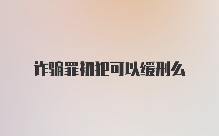 诈骗罪初犯可以缓刑么