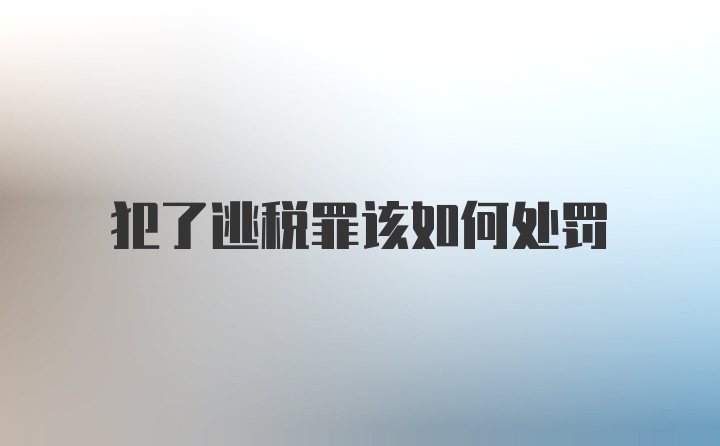 犯了逃税罪该如何处罚