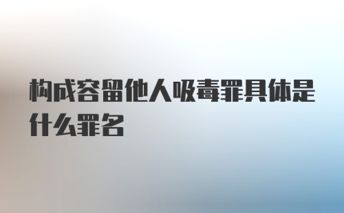 构成容留他人吸毒罪具体是什么罪名