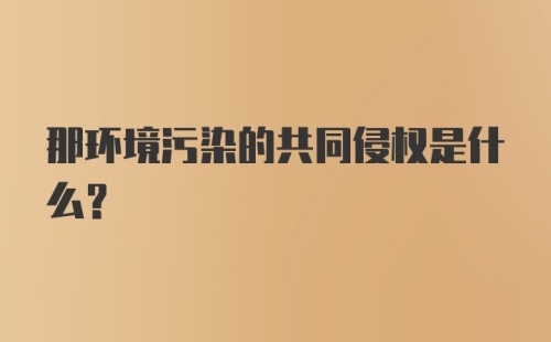 那环境污染的共同侵权是什么？