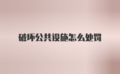 破坏公共设施怎么处罚