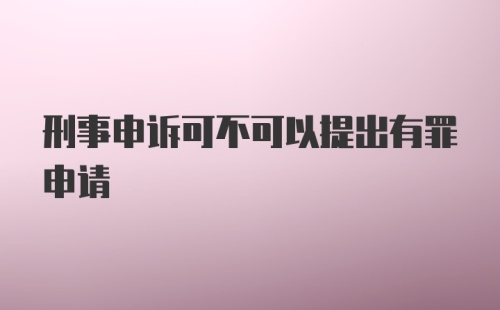 刑事申诉可不可以提出有罪申请