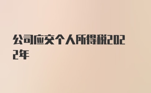 公司应交个人所得税2022年