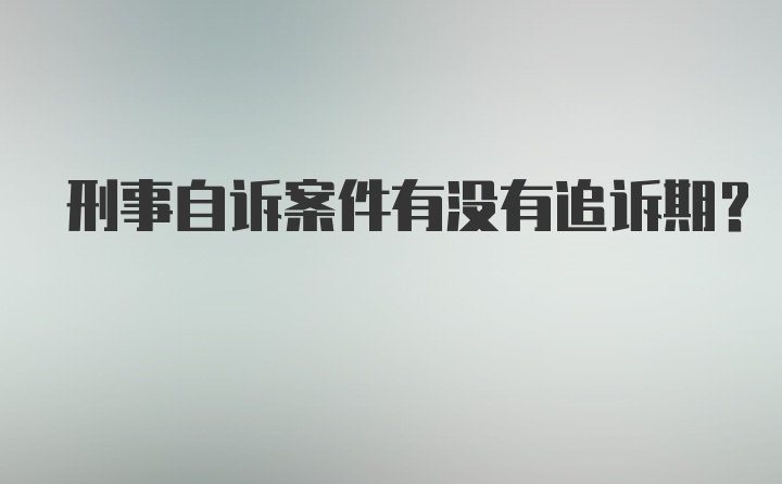 刑事自诉案件有没有追诉期？