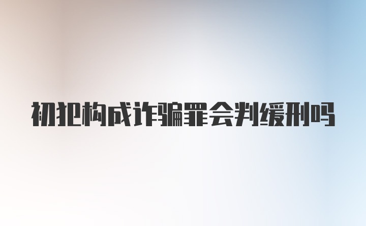 初犯构成诈骗罪会判缓刑吗