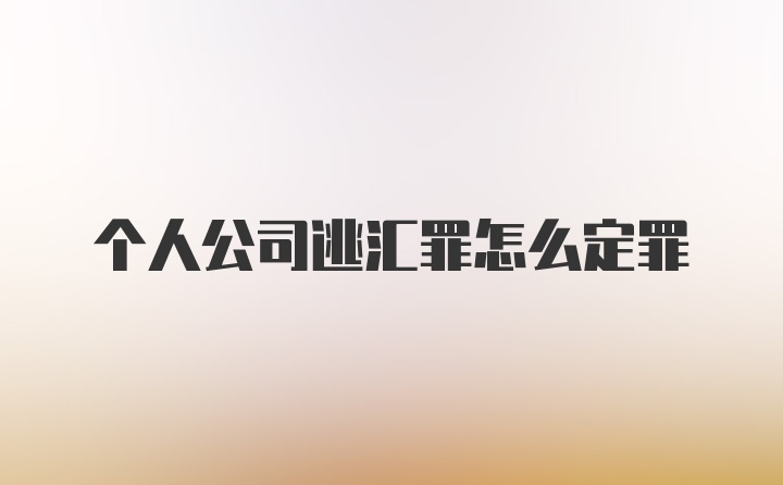 个人公司逃汇罪怎么定罪