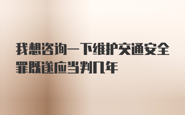 我想咨询一下维护交通安全罪既遂应当判几年