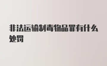 非法运输制毒物品罪有什么处罚