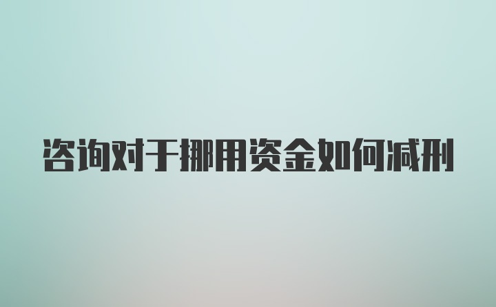 咨询对于挪用资金如何减刑