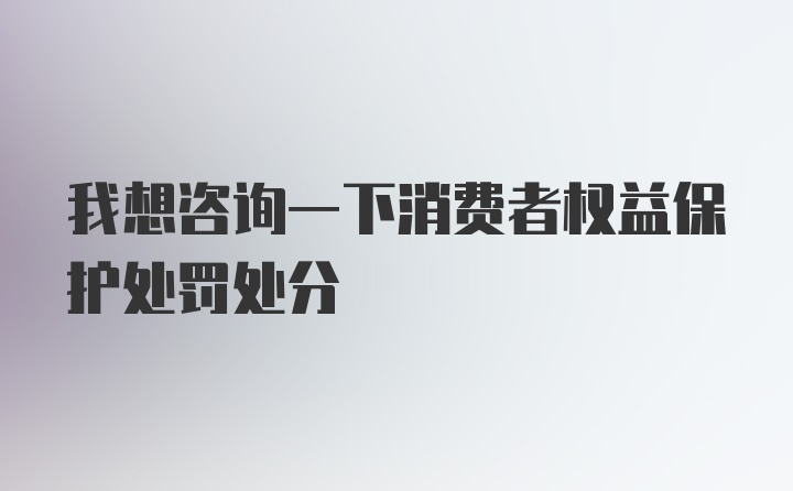 我想咨询一下消费者权益保护处罚处分