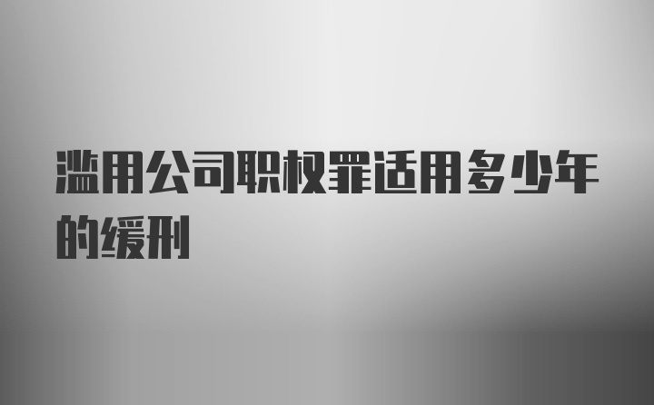 滥用公司职权罪适用多少年的缓刑