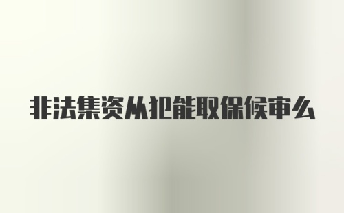 非法集资从犯能取保候审么