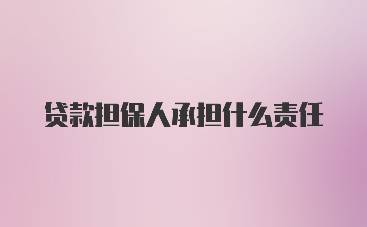 贷款担保人承担什么责任