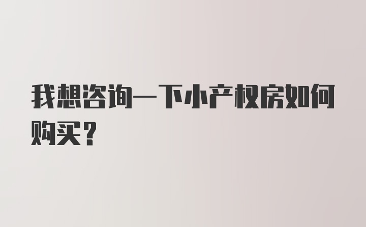 我想咨询一下小产权房如何购买？