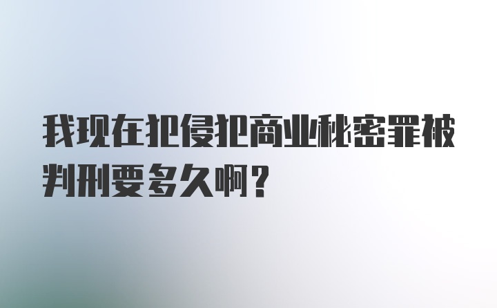 我现在犯侵犯商业秘密罪被判刑要多久啊？