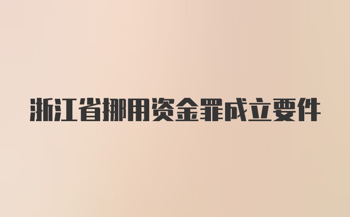 浙江省挪用资金罪成立要件